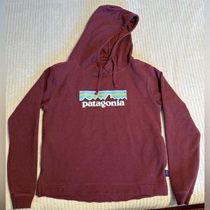 Patagonia P-6 Logo Uprisal Hoodie Size M